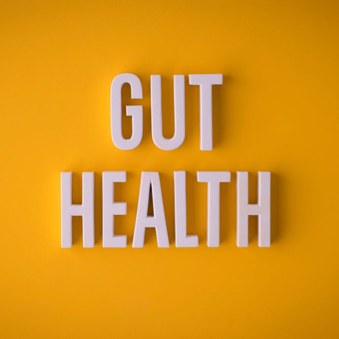 5 Foods that Promote Gut Health