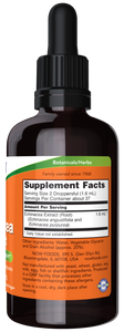 Echinacea Extract NOW Tinture
