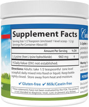 Load image into Gallery viewer, Carlson Llysine Pwd 3.53 Oz

