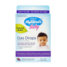 Load image into Gallery viewer, Hylands Baby Gas Drops 1 Oz
