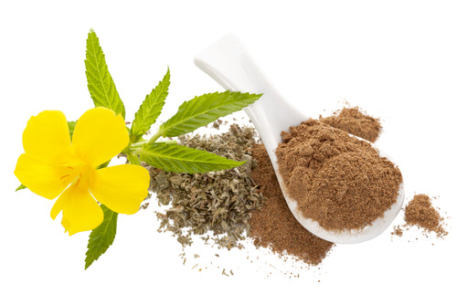 Damiana Leaf Powder W/C