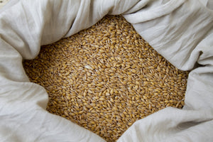 Einkorn Berries (Einka Farro) Organic