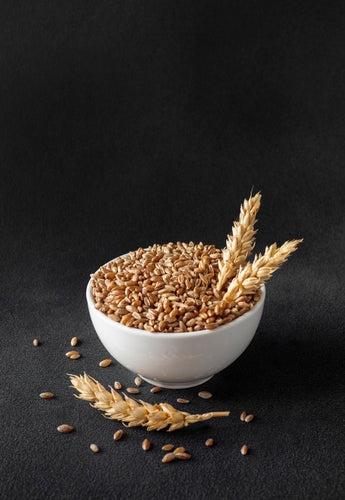 Emmer Grain Organic