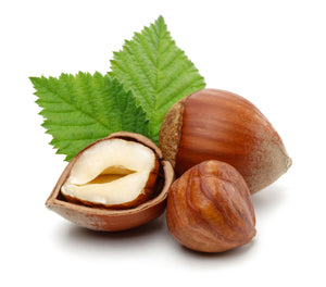 Filberts (Hazelnuts) Raw