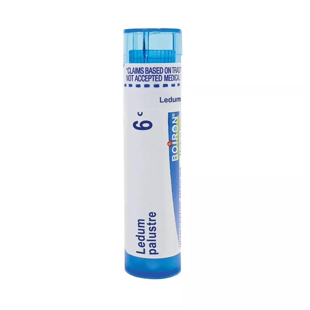 Ledum Palustre 6 C