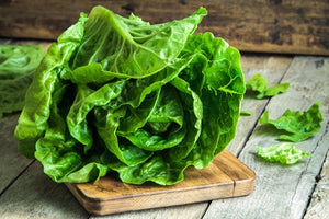 Lettuce - Romaine Organic