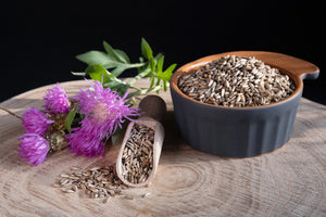 Milk Thistle Seed  Whole Organic