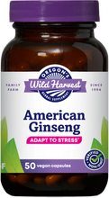 Load image into Gallery viewer, American Ginseng
