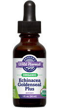 Load image into Gallery viewer, Echinacea Goldenseal Plus Wild Harvest Organic
