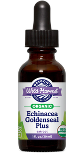 Echinacea Goldenseal Plus Wild Harvest Organic