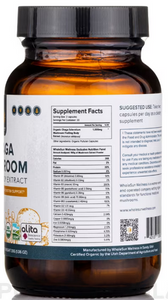 Chaga Mushroom Wholesun