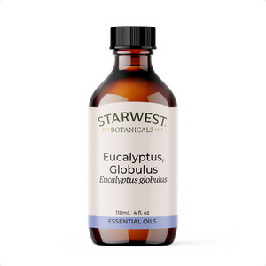 Eucalyptus Globulus Essential Oils Starwest