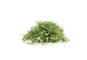 Shavegrass Herb Powder Organic