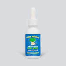 MM Lion's Mane Dual Extract 1 fl oz