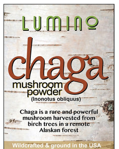 Lumino Chaga Mushroom Powder 2ct