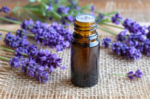 Starwest Botanicals Lavender Essential Oil Organic 1/3oz