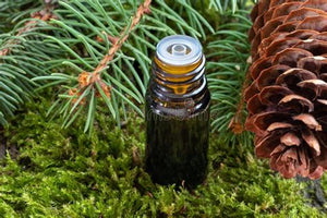 SB Spruce Essential Oil 1/3oz
