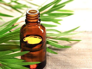 SB Tea Tree Essential Oil 1/3oz