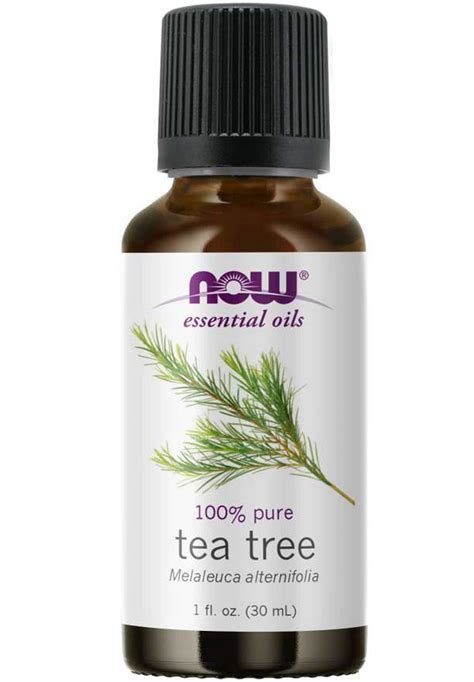 Now Tea Tree Essential Oil 1oz