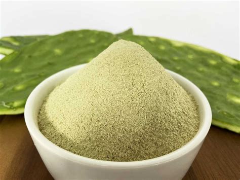 Cactus Nopal Powder WC Organic