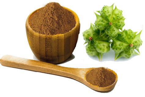 Tribulus Fruit Powder Organic