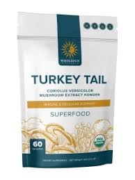 Wholesun Wellness Turkey Tail Powder 60 servings