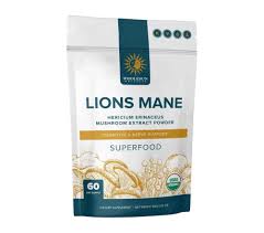 Wholesun Wellness Lions Mane Powder 60ser